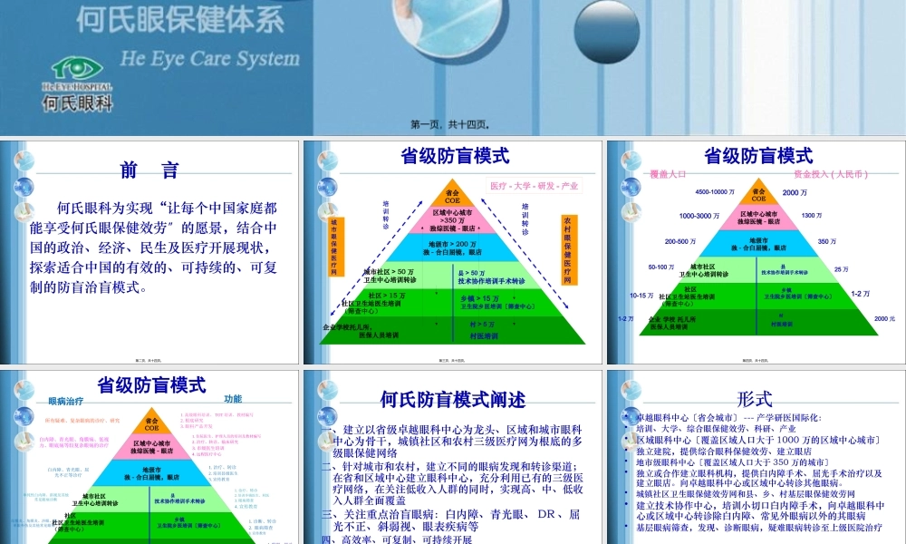 何氏眼科防盲模式.pptx
