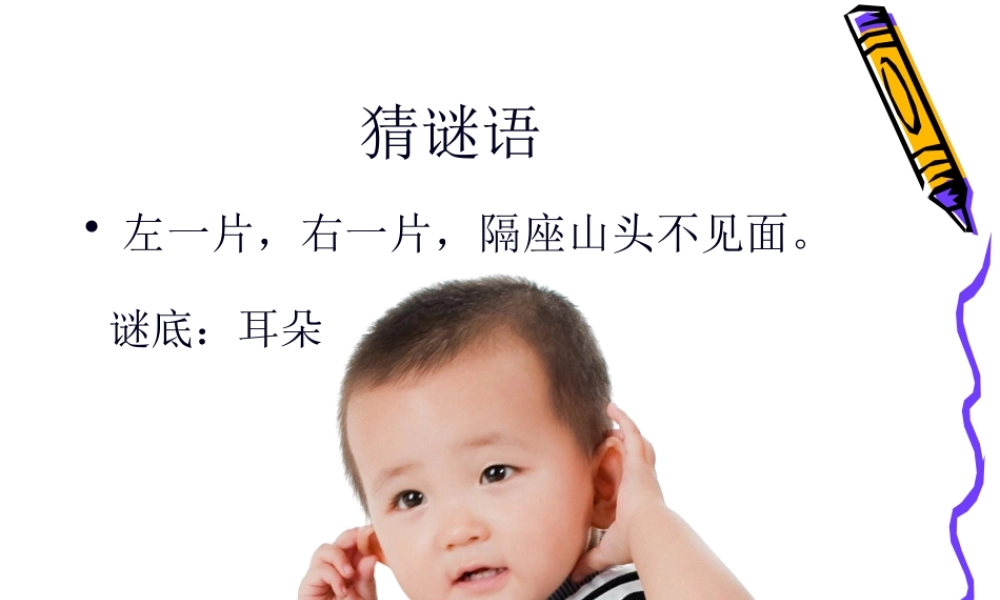 保护我的耳3朵.pptx