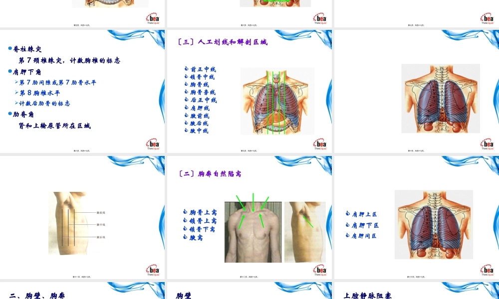 健康评估-胸部检查(理论).pptx