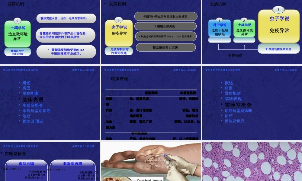 再生障碍性贫血教学PPT.pptx