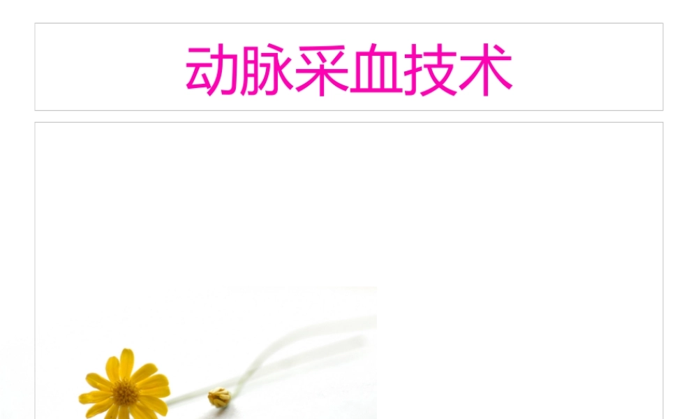 动脉采血技术.pptx