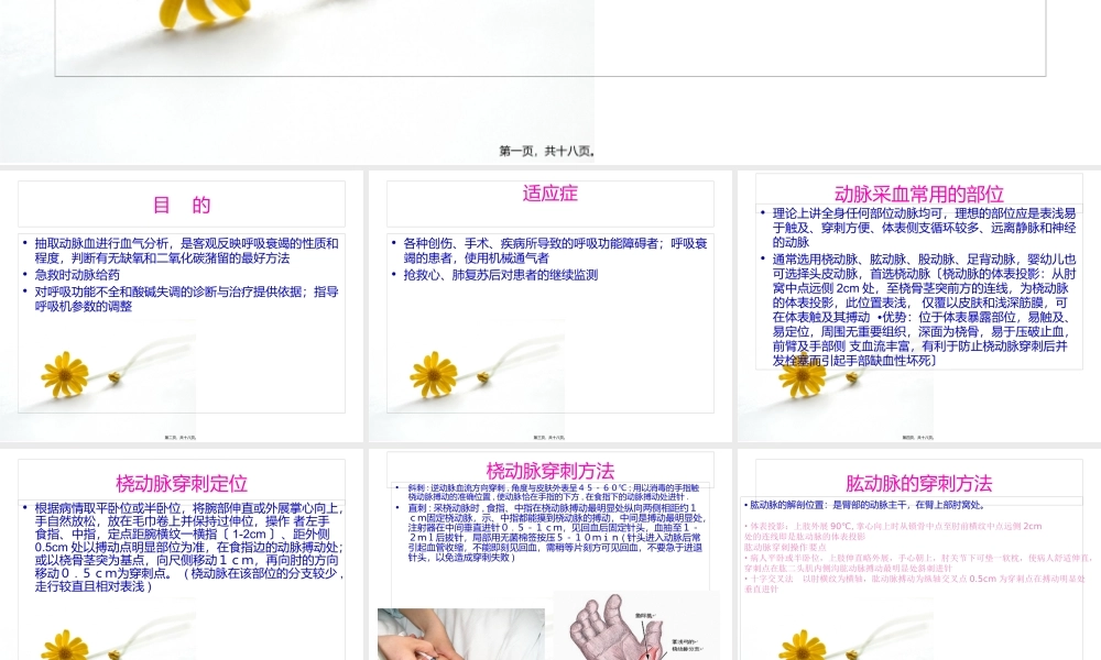 动脉采血技术.pptx