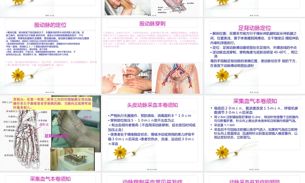 动脉采血技术.pptx