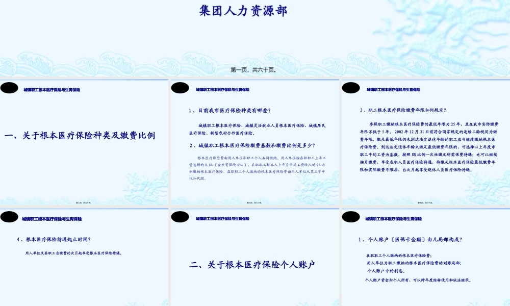 医保PPT资料.pptx