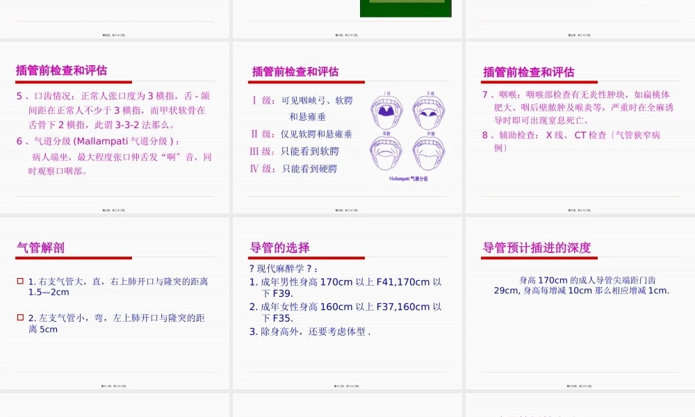 双腔气管插管--梁勇升.pptx