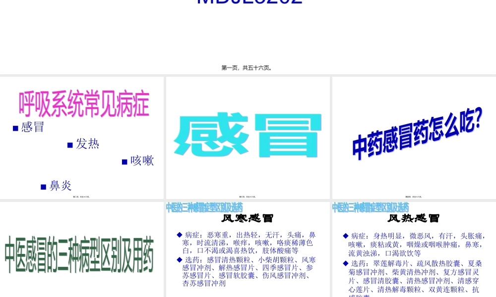 呼吸系统用药注意事项.pptx