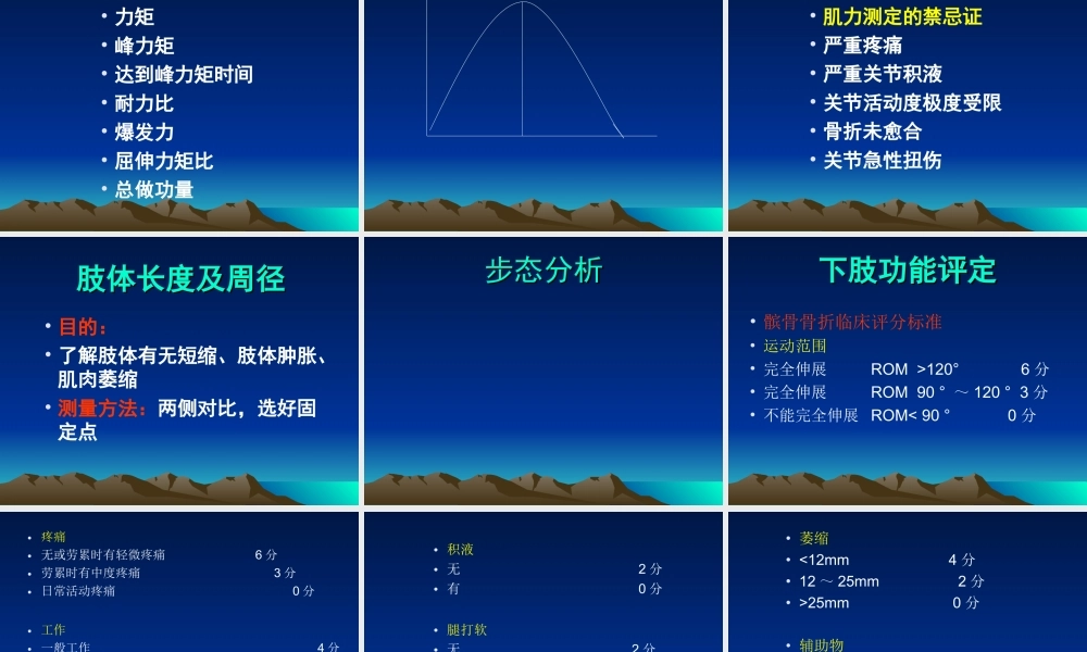 四肢骨折康复.ppt