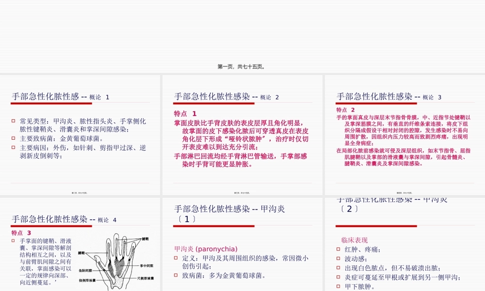 外科感染(2).pptx