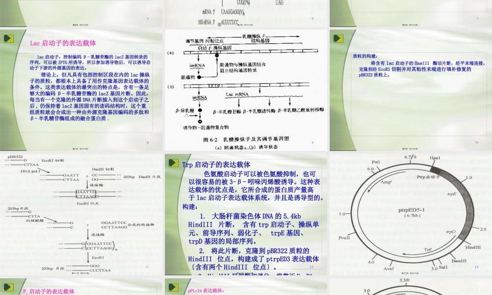 大肠杆菌表达系统详细表格.pptx