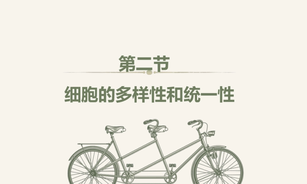 细胞膜细胞质细胞核思考.ppt