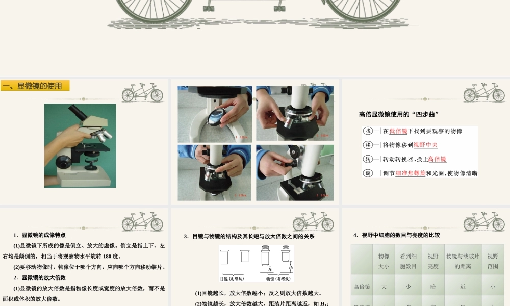 细胞膜细胞质细胞核思考.ppt