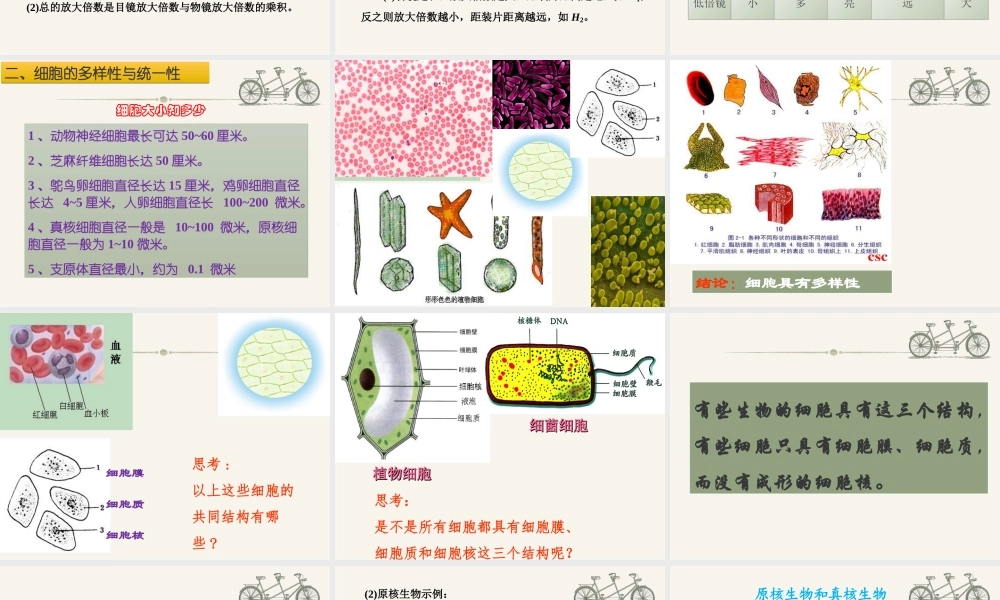 细胞膜细胞质细胞核思考.ppt