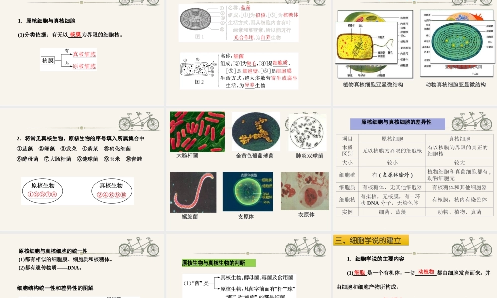 细胞膜细胞质细胞核思考.ppt