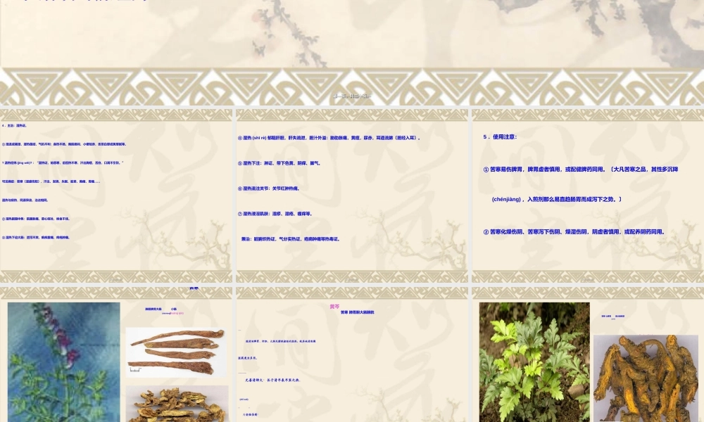 2022年医学专题—5-清热燥湿药(1).ppt