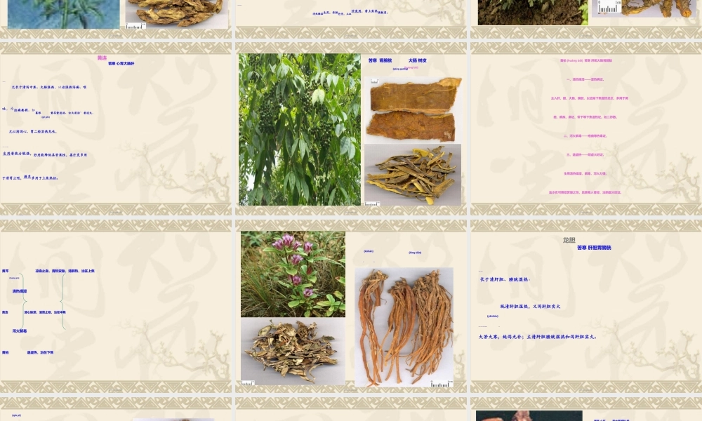 2022年医学专题—5-清热燥湿药(1).ppt