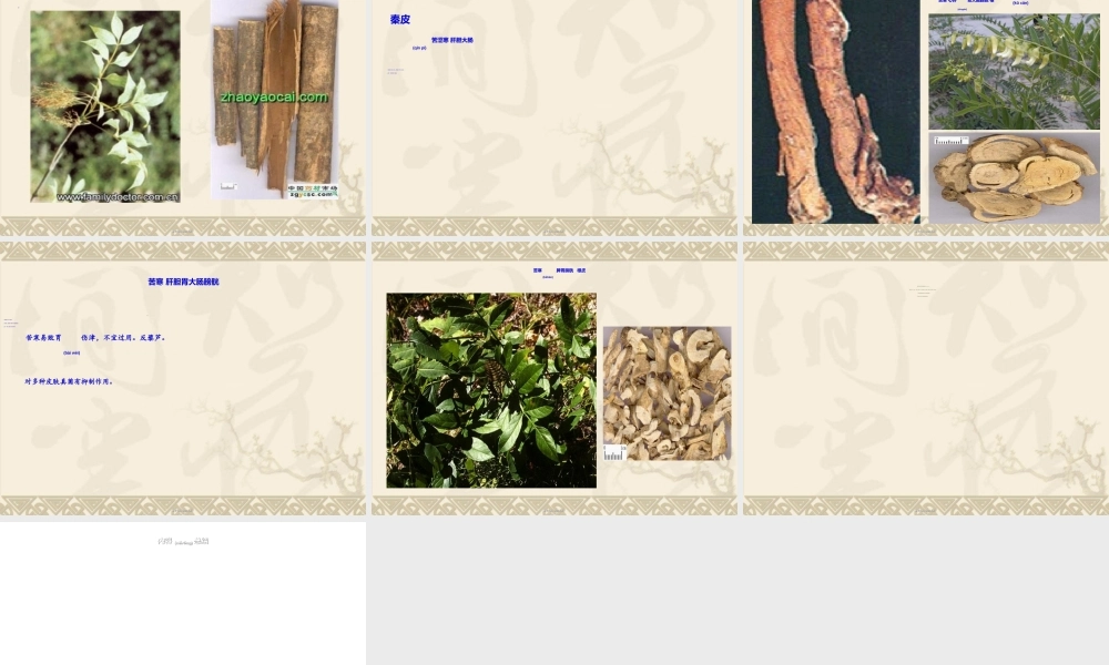 2022年医学专题—5-清热燥湿药(1).ppt