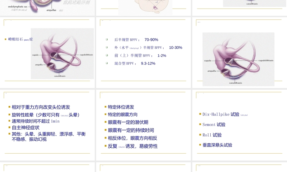 2022年医学专题—BPPV诊治(1).ppt