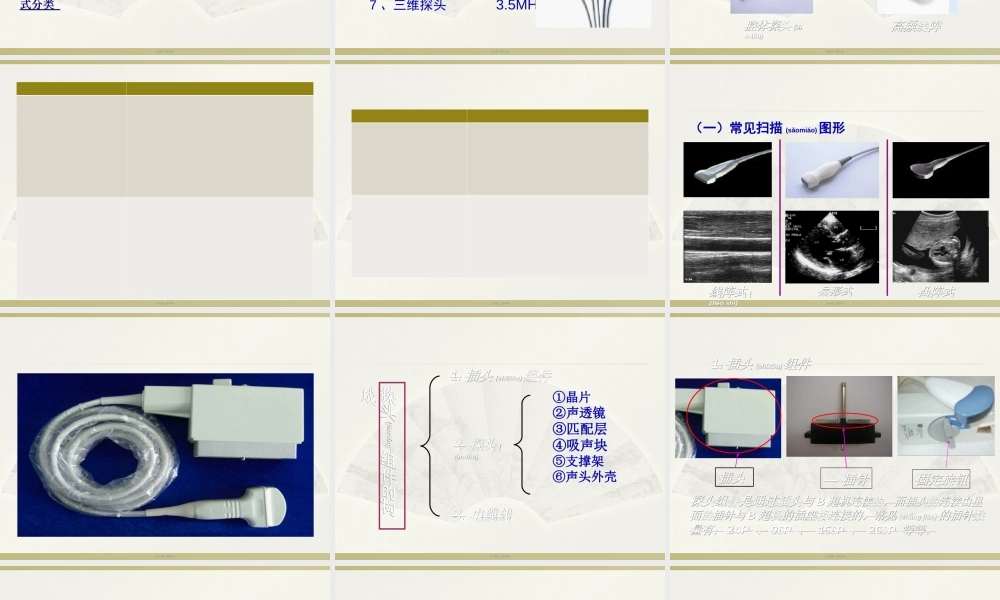 2022年医学专题—B超探头的清洁消毒..(1).ppt