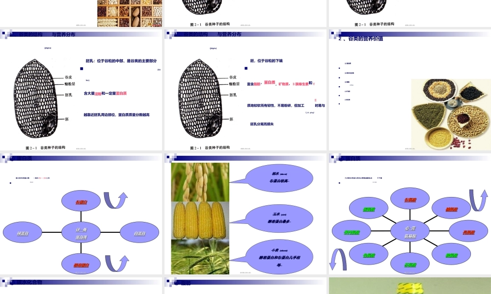 2022年医学专题—《烹饪营养与卫生》-第十二讲-植物性原料的营养与卫生-2012优化版(1).ppt