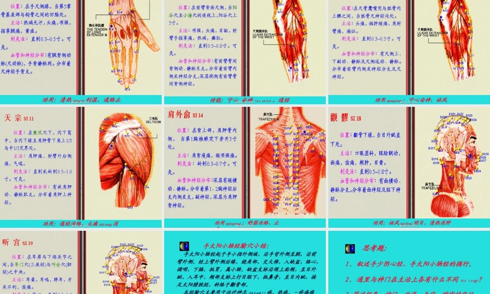 2022年医学专题—五、手少阴心经-该经经脉循行所联络的脏腑器官有心、小肠、肺讲解.ppt