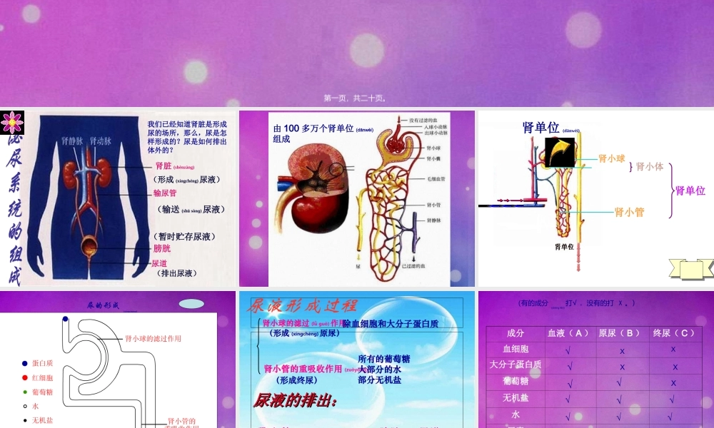 2022年医学专题—人体代谢废物的排出(非常好).ppt