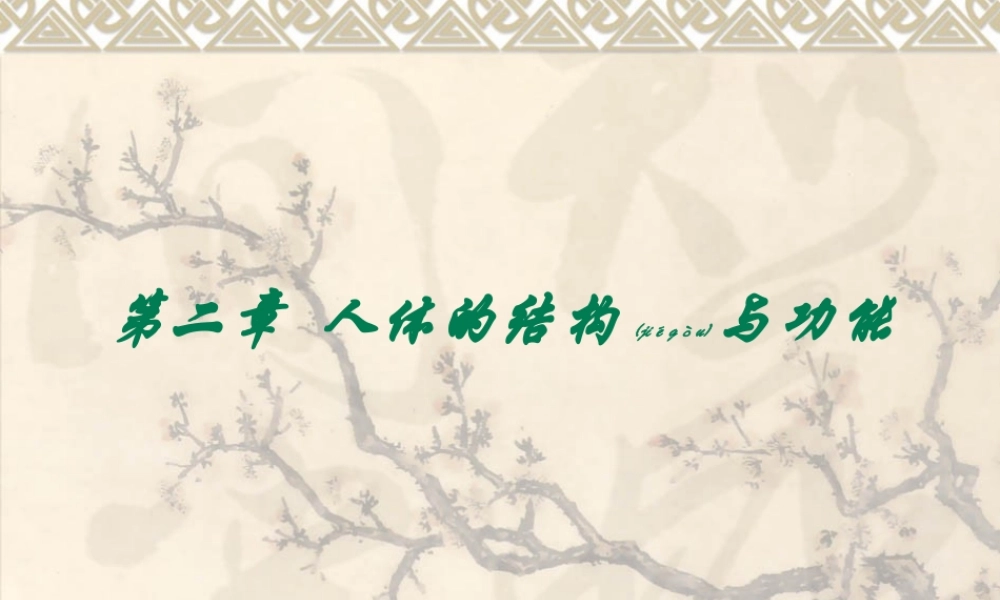 2022年医学专题—人体的结构与功能全解.ppt