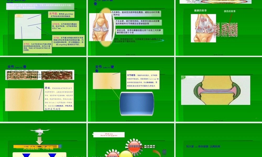 2022年医学专题—人体骨骼-PPT文档.ppt