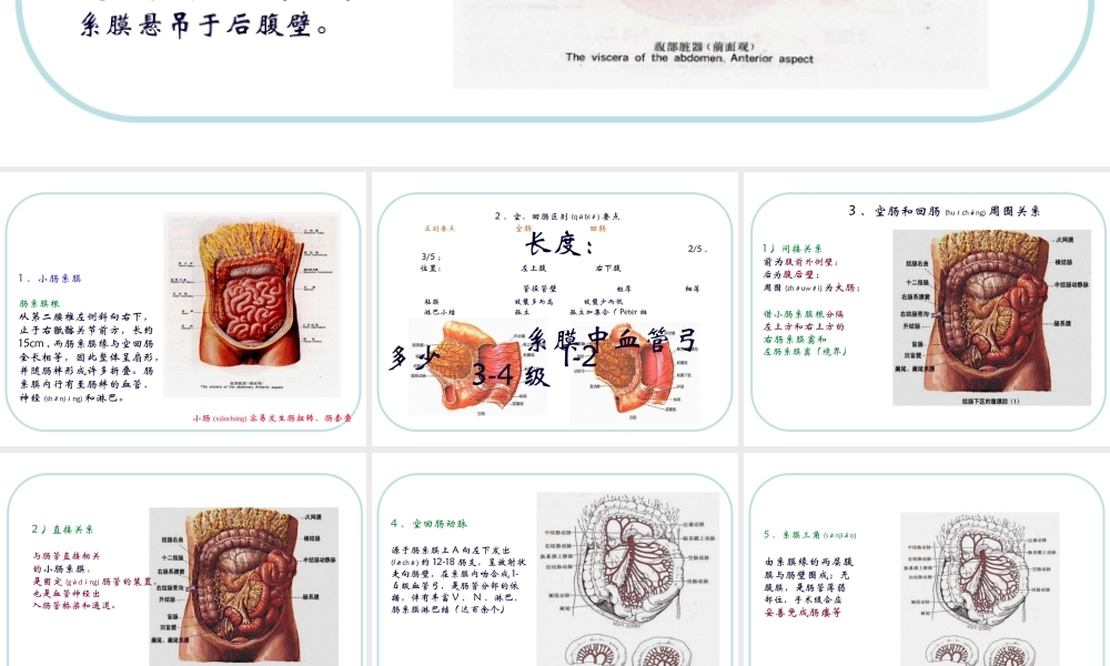 2022年医学专题—人体结构-腹部3.ppt