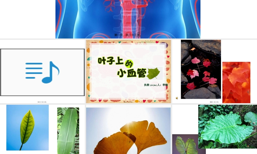 2022年医学专题—人教版二年级美术-第八课《叶子上的小血管》.ppt