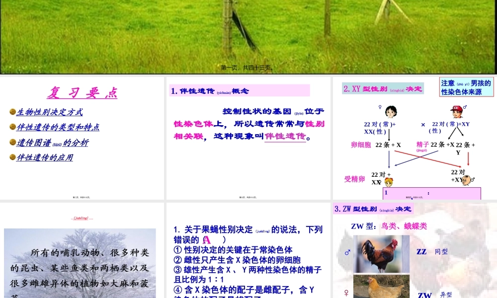 2022年医学专题—伴X染色体上的显性遗传病XAXA(1).ppt