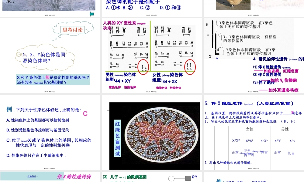 2022年医学专题—伴X染色体上的显性遗传病XAXA(1).ppt