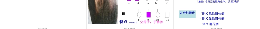 2022年医学专题—伴X染色体上的显性遗传病XAXA(1).ppt