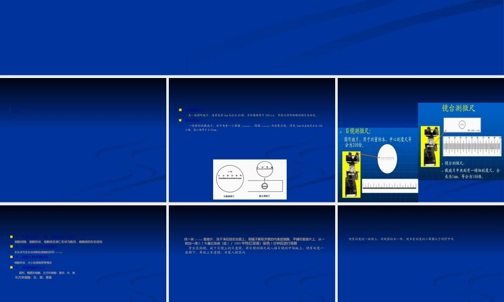 2022年医学专题—使用测微尺观测细胞的大小PPT.ppt