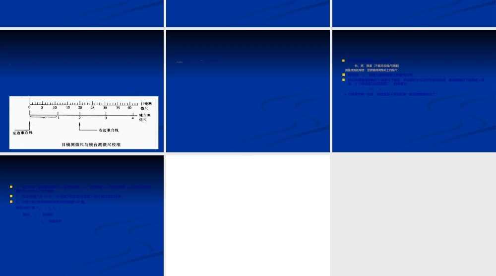 2022年医学专题—使用测微尺观测细胞的大小PPT.ppt