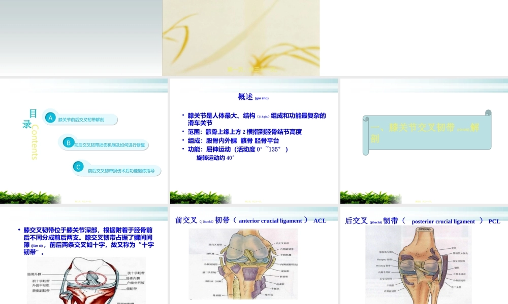 2022年医学专题—前后交叉韧带术后功能锻炼.ppt