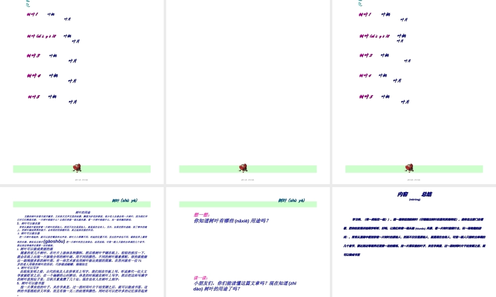 2022年医学专题—叶脉叶柄叶肉叶片连一连.ppt