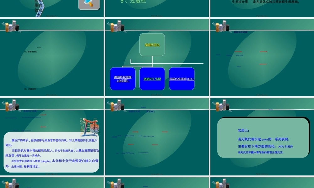 2022年医学专题—外科休克(中西医本科06级).ppt