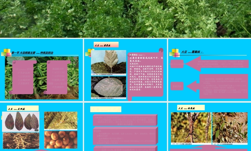2022年医学专题—大豆主要病虫害防治(1).ppt