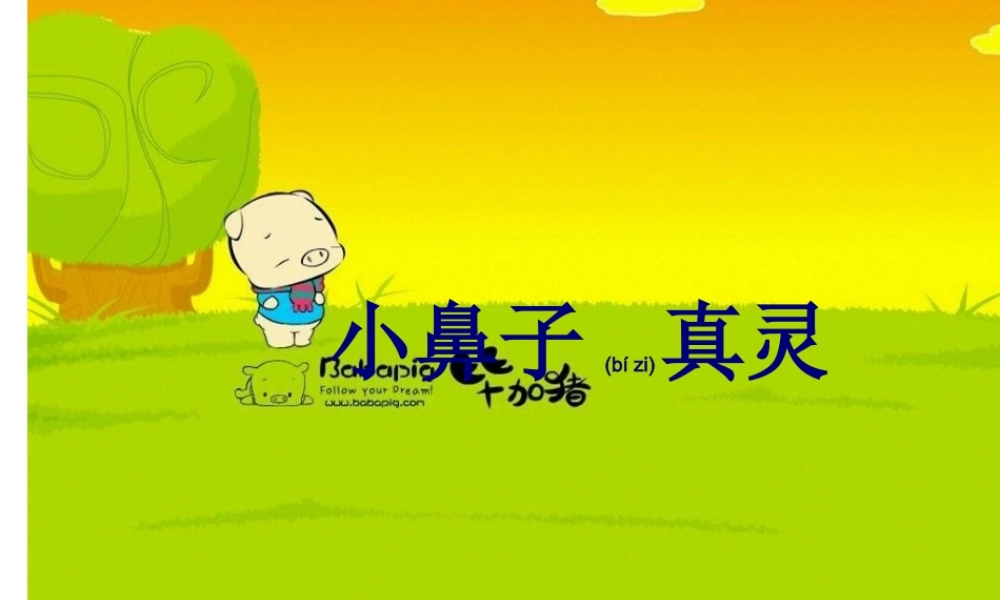 2022年医学专题—小鼻子真灵动画.ppt