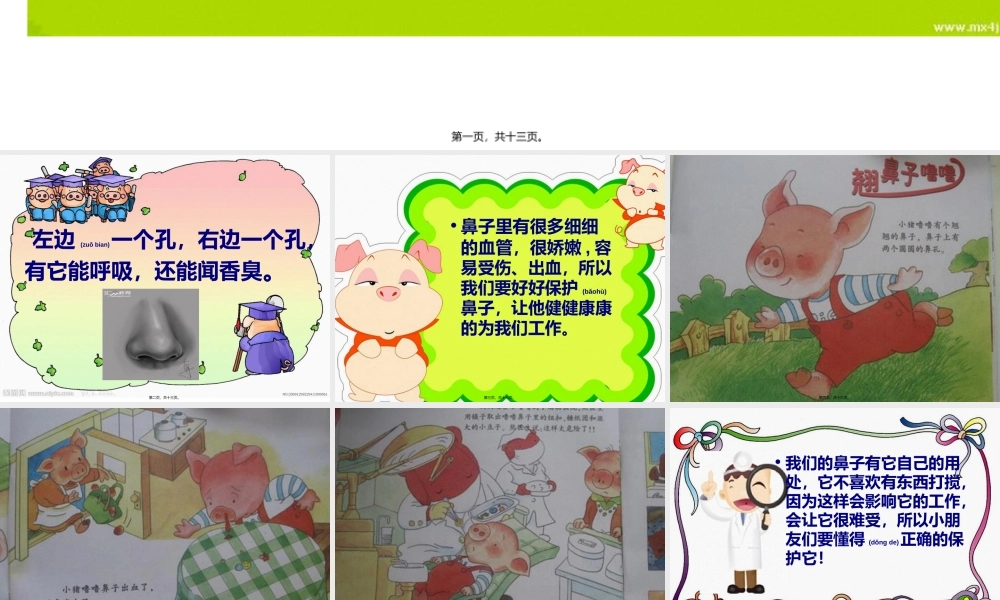 2022年医学专题—小鼻子真灵动画.ppt