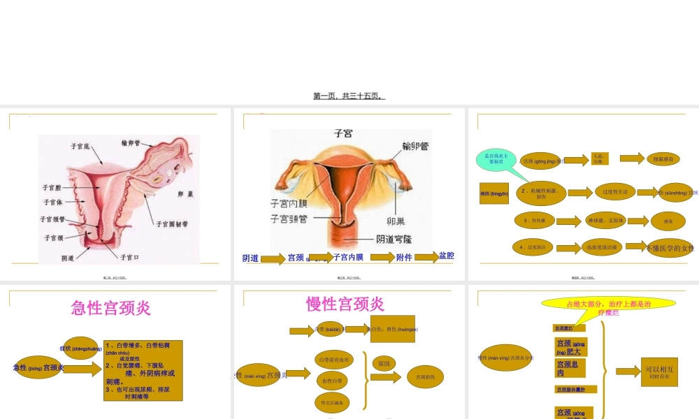 2022年医学专题—宫颈炎、副本炎、盆腔炎.ppt
