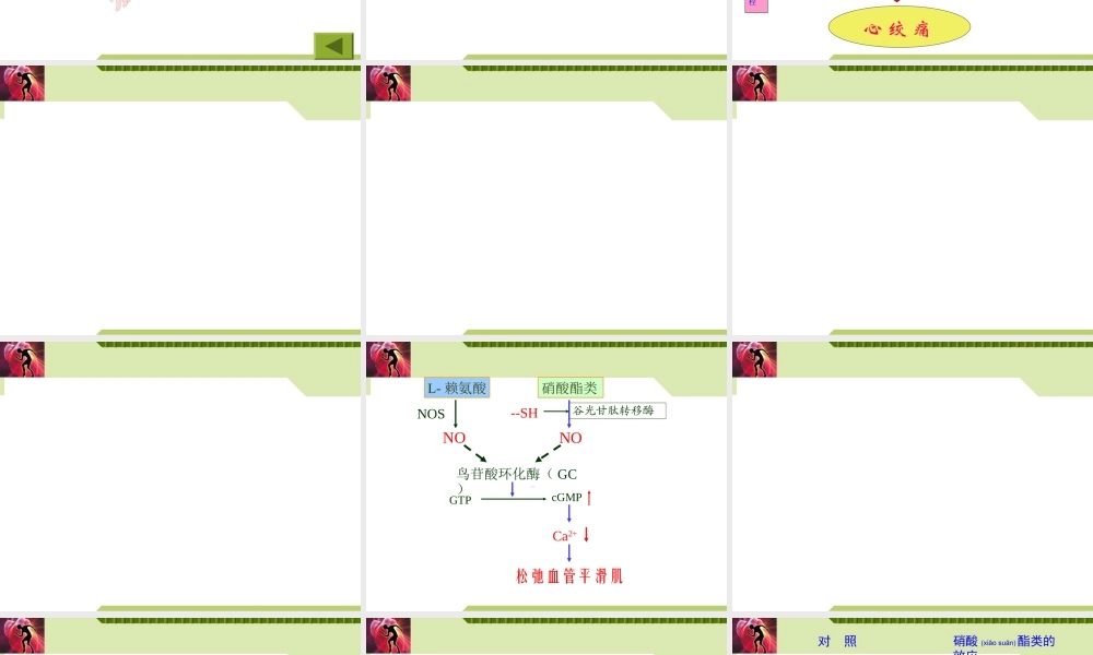 2022年医学专题—抗心绞痛药资料.ppt