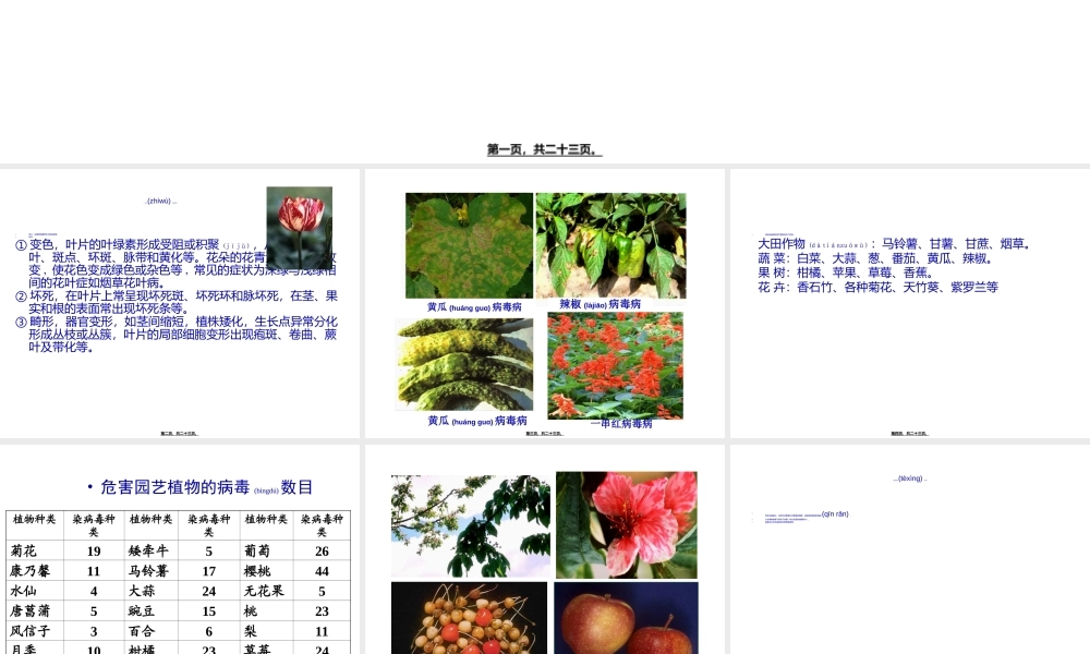 2022年医学专题—植物的脱毒培养与人工种子.ppt