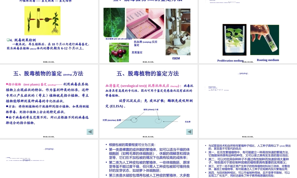 2022年医学专题—植物的脱毒培养与人工种子.ppt