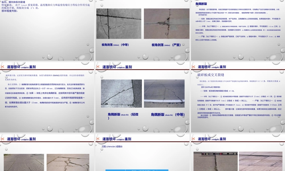 2022年医学专题—机场道面病害及治理.ppt