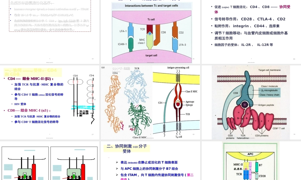 2022年医学专题—淋巴细胞的抗原受体.ppt