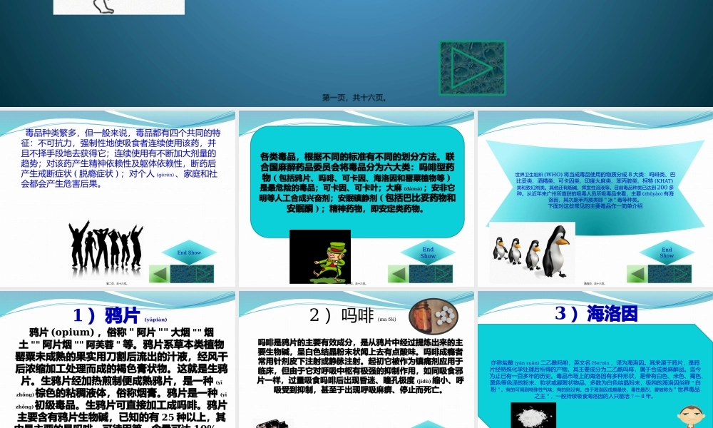 2022年医学专题—毒品的种类.pptx