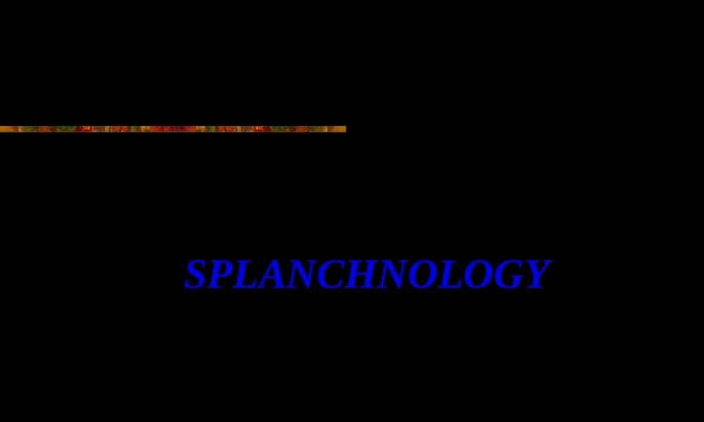 2022年医学专题—消化系统2013ppt.ppt