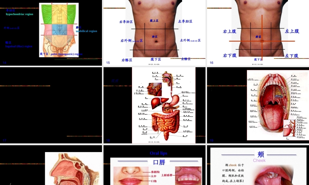 2022年医学专题—消化系统2013ppt.ppt