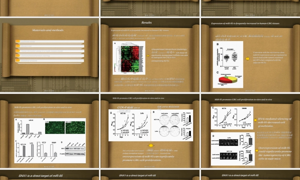 2022年医学专题—王婷婷--miR-95通过靶标SNX1促进结肠癌细胞增殖修改.ppt